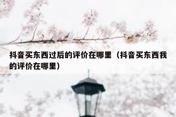 抖音买东西过后的评价在哪里(抖音买东西我的评价在哪里) 第1张 抖音买东西过后的评价在哪里(抖音买东西我的评价在哪里) 第1张