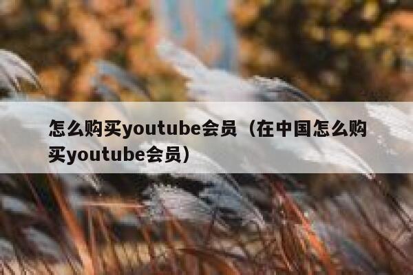 怎么购买youtube会员（在中国怎么购买youtube会员） 第1张