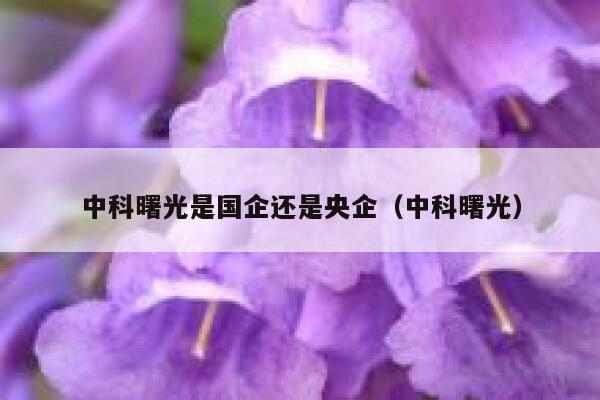 中科曙光是国企还是央企（中科曙光） 第1张
