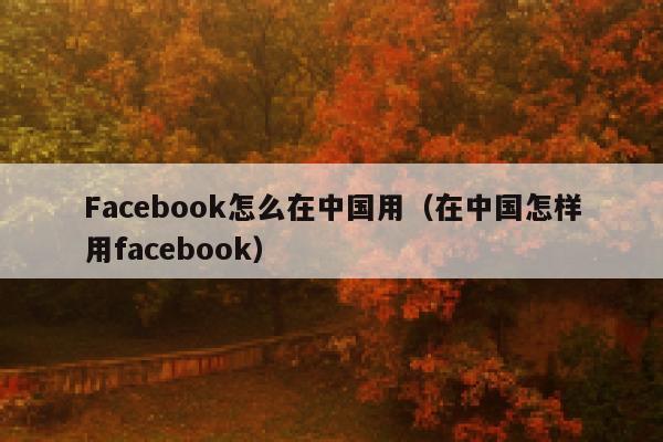 Facebook怎么在中国用（在中国怎样用facebook） 第1张