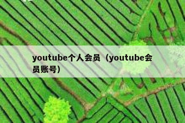 youtube个人会员(youtube会员账号) 第1张 youtube个人会员(youtube会员账号) 第1张