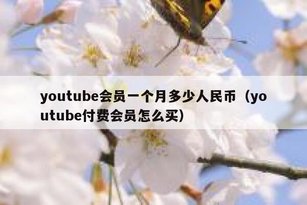 youtube会员一个月多少人民币（youtube付费会员怎么买） 第1张