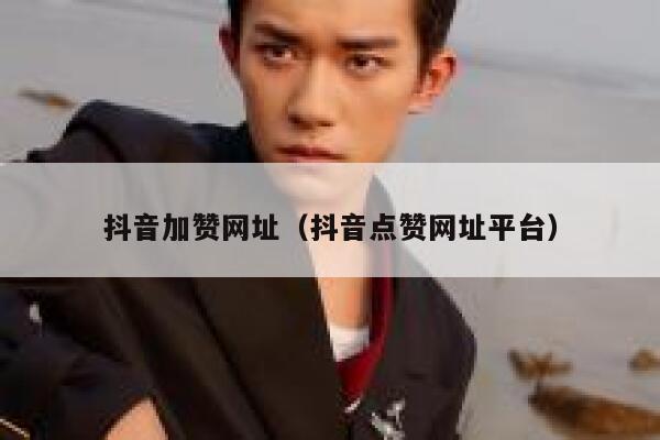 抖音加赞网址(抖音点赞网址平台) 第1张 抖音加赞网址(抖音点赞网址平台) 第1张