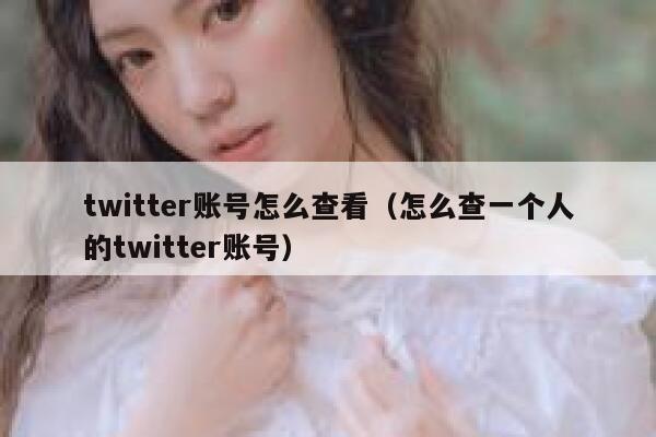 twitter账号怎么查看（怎么查一个人的twitter账号） 第1张