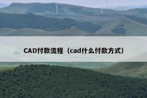CAD付款流程（cad什么付款方式） 第1张