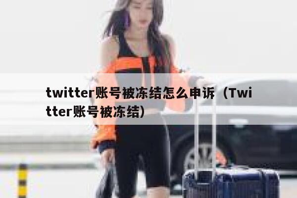 twitter账号被冻结怎么申诉（Twitter账号被冻结） 第1张