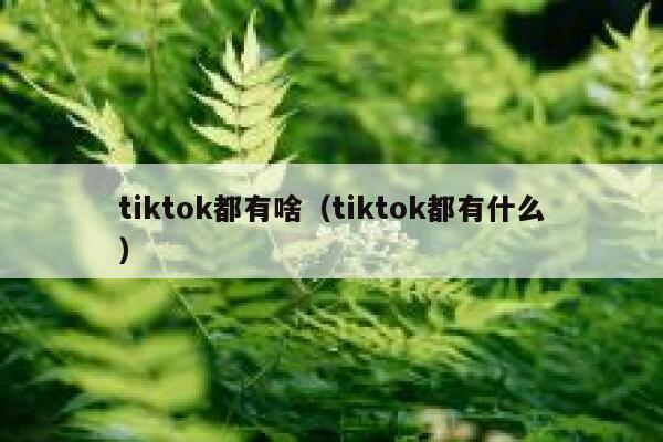 tiktok都有啥（tiktok都有什么） 第1张