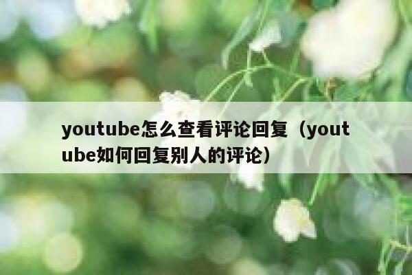 youtube怎么查看评论回复（youtube如何回复别人的评论） 第1张