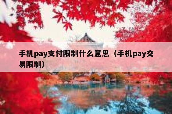 手机pay支付限制什么意思（手机pay交易限制） 第1张