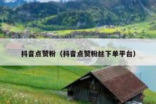 抖音点赞粉（抖音点赞粉丝下单平台） 第1张