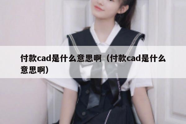 付款cad是什么意思啊（付款cad是什么意思啊） 第1张