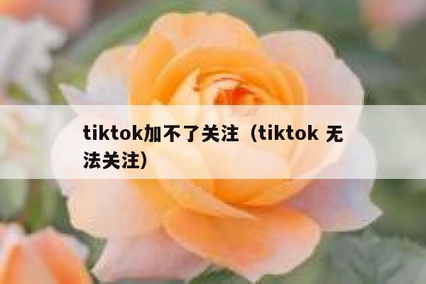 tiktok加不了关注（tiktok 无法关注） 第1张