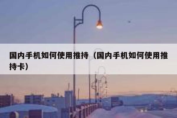 国内手机如何使用推持(国内手机如何使用推持卡) 第1张 国内手机如何使用推持(国内手机如何使用推持卡) 第1张