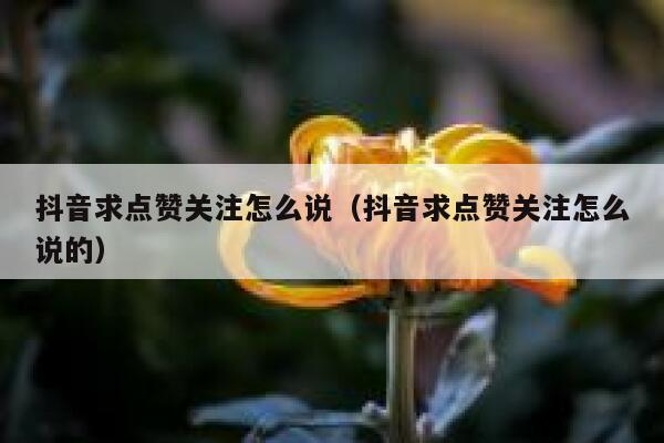 抖音求点赞关注怎么说（抖音求点赞关注怎么说的） 第1张