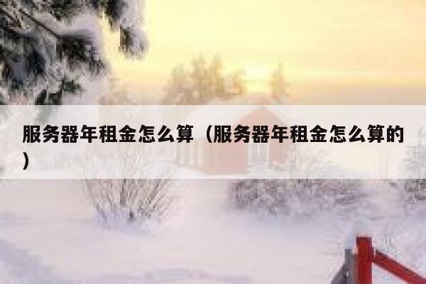 服务器年租金怎么算（服务器年租金怎么算的） 第1张