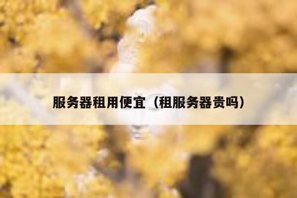 服务器租用便宜（租服务器贵吗） 第1张