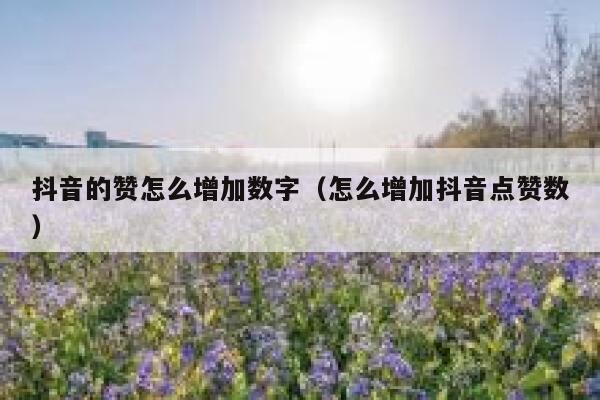 抖音的赞怎么增加数字（怎么增加抖音点赞数） 第1张
