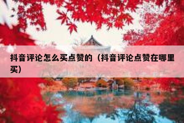 抖音评论怎么买点赞的（抖音评论点赞在哪里买） 第1张