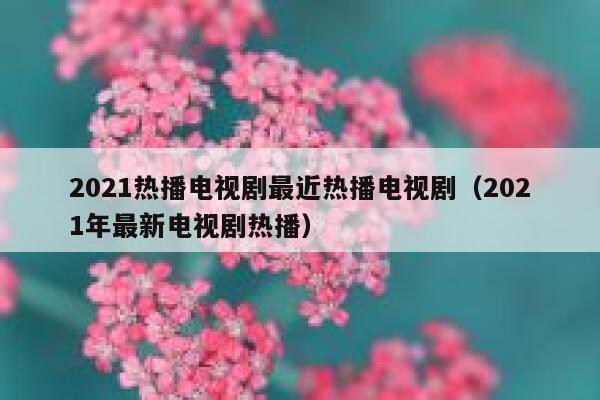 2021热播电视剧最近热播电视剧（2021年最新电视剧热播） 第1张