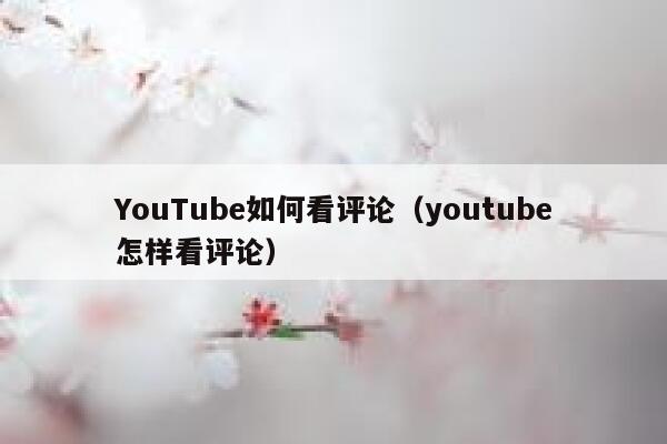 YouTube如何看评论（youtube怎样看评论） 第1张