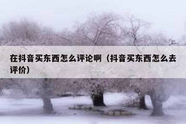 在抖音买东西怎么评论啊（抖音买东西怎么去评价） 第1张