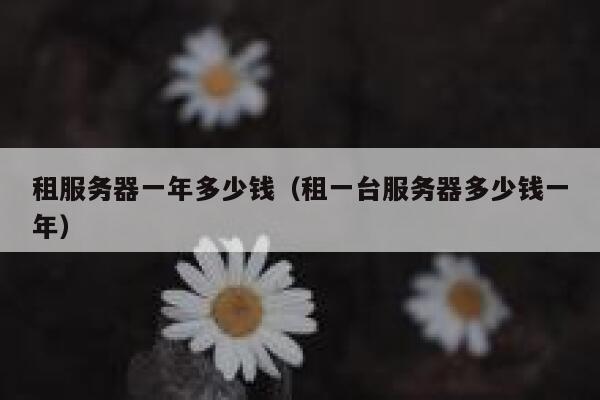 租服务器一年多少钱（租一台服务器多少钱一年） 第1张