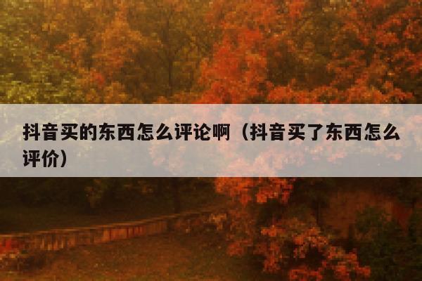 抖音买的东西怎么评论啊（抖音买了东西怎么评价） 第1张