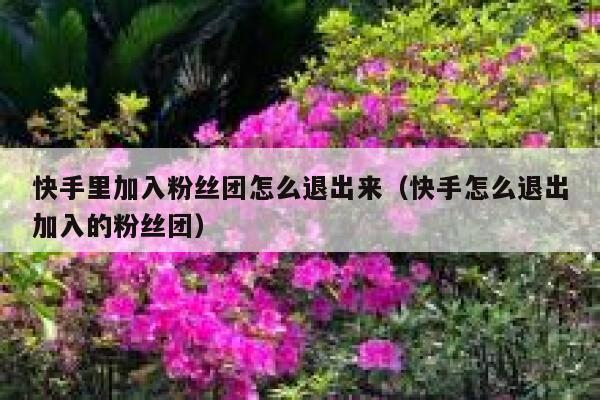 快手里加入粉丝团怎么退出来（快手怎么退出加入的粉丝团） 第1张