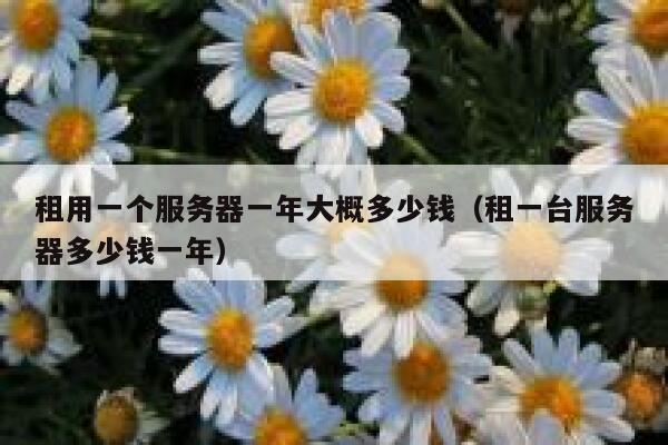 租用一个服务器一年大概多少钱（租一台服务器多少钱一年） 第1张