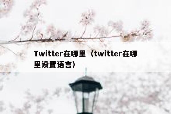 Twitter在哪里（twitter在哪里设置语言） 第1张