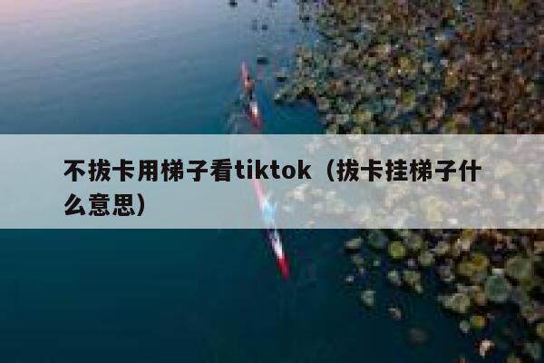 不拔卡用梯子看tiktok（拔卡挂梯子什么意思） 第1张