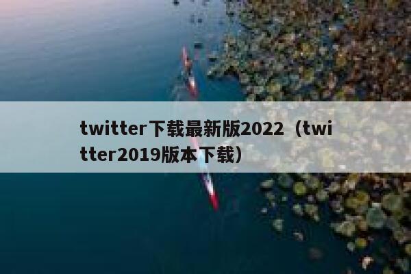 twitter下载最新版2022（twitter2019版本下载） 第1张