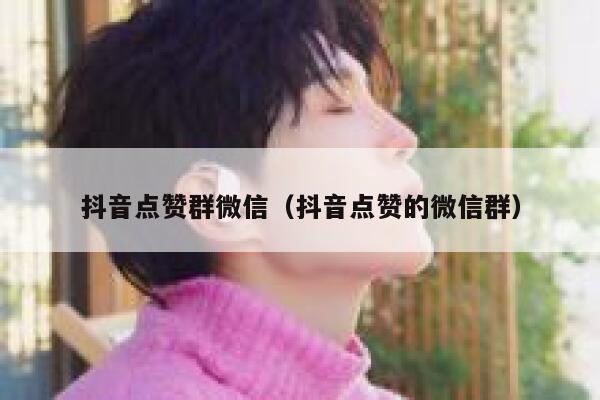 抖音点赞群微信（抖音点赞的微信群） 第1张