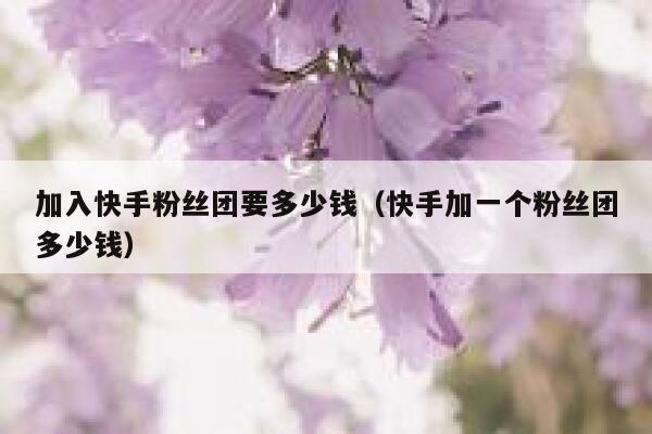 加入快手粉丝团要多少钱（快手加一个粉丝团多少钱） 第1张