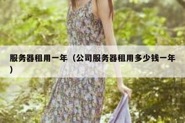 服务器租用一年(公司服务器租用多少钱一年) 第1张 服务器租用一年(公司服务器租用多少钱一年) 第1张