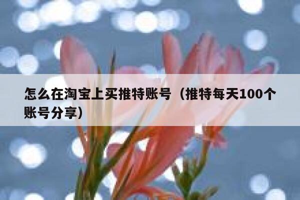 怎么在淘宝上买推特账号（推特每天100个账号分享） 第1张