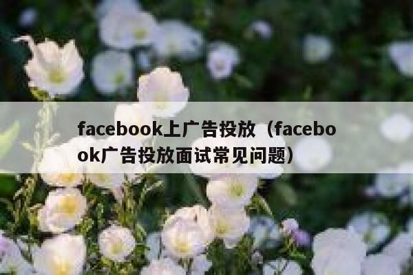 facebook上广告投放（facebook广告投放面试常见问题） 第1张