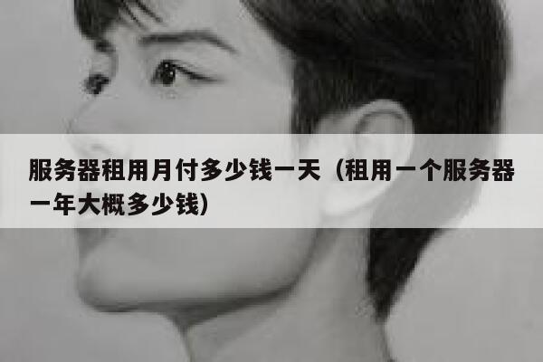 服务器租用月付多少钱一天(租用一个服务器一年大概多少钱) 第1张 服务器租用月付多少钱一天(租用一个服务器一年大概多少钱) 第1张