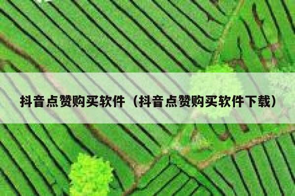 抖音点赞购买软件(抖音点赞购买软件下载) 第1张 抖音点赞购买软件(抖音点赞购买软件下载) 第1张