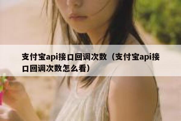 支付宝api接口回调次数（支付宝api接口回调次数怎么看） 第1张