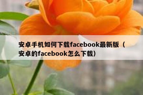安卓手机如何下载facebook最新版（安卓的facebook怎么下载） 第1张