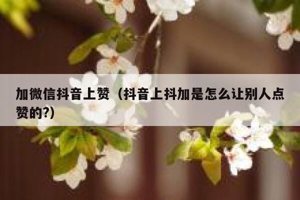 加微信抖音上赞（抖音上抖加是怎么让别人点赞的?） 第1张