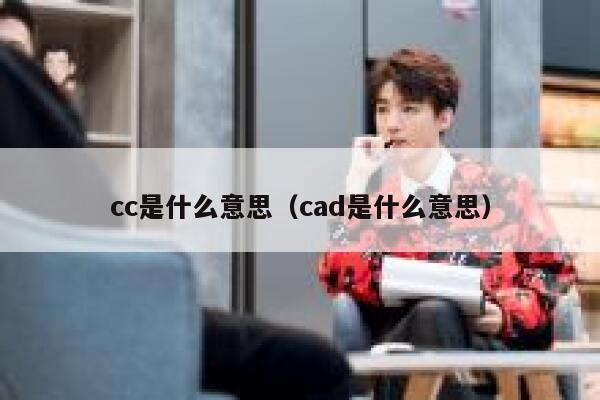 cc是什么意思（cad是什么意思） 第1张