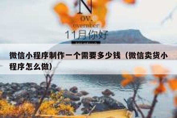 微信小程序制作一个需要多少钱(微信卖货小程序怎么做) 第1张 微信小程序制作一个需要多少钱(微信卖货小程序怎么做) 第1张