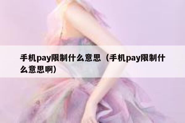 手机pay限制什么意思（手机pay限制什么意思啊） 第1张