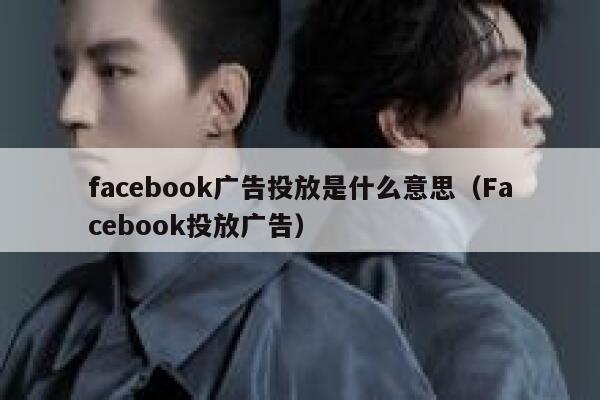 facebook广告投放是什么意思（Facebook投放广告） 第1张