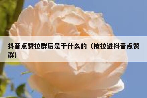 抖音点赞拉群后是干什么的(被拉进抖音点赞群) 第1张 抖音点赞拉群后是干什么的(被拉进抖音点赞群) 第1张