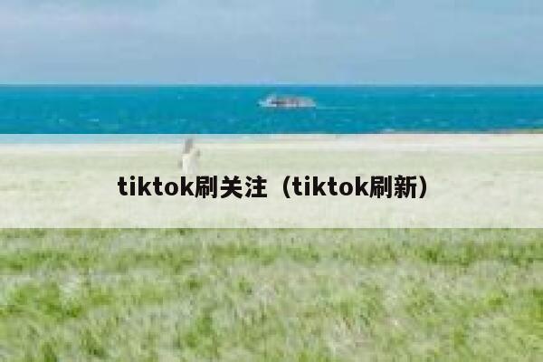 tiktok刷关注（tiktok刷新） 第1张
