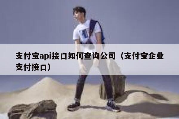 支付宝api接口如何查询公司（支付宝企业支付接口） 第1张