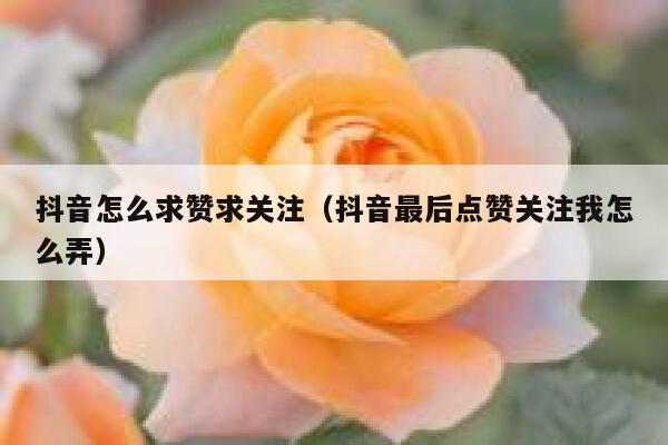 抖音怎么求赞求关注（抖音最后点赞关注我怎么弄） 第1张